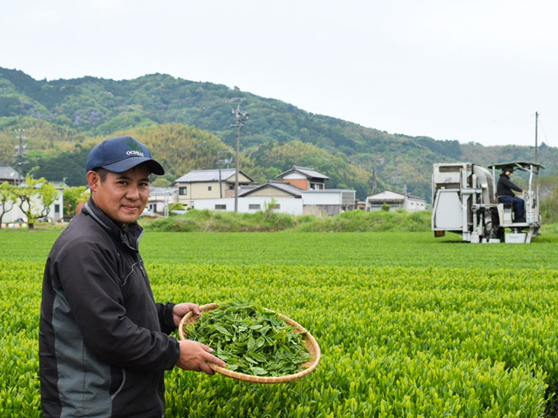 第3スライド「お茶と和菓子」